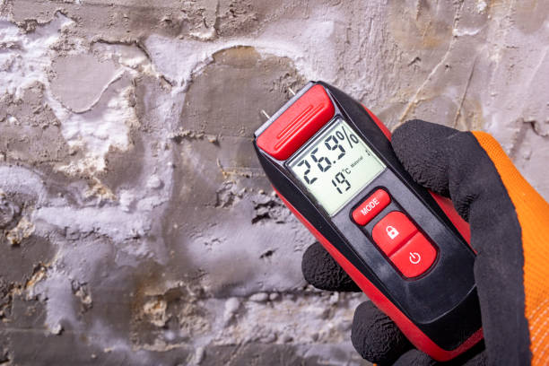 Best Commercial Mold Remediation in Beaver Dam, KY
